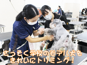 ☆１年生のトリミング実習☆